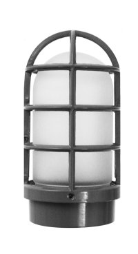 Jelly Jar w/ Wire Guard