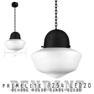 schoolhouse light #254 LED20