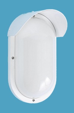 Nautical Wall Sconce with Hood