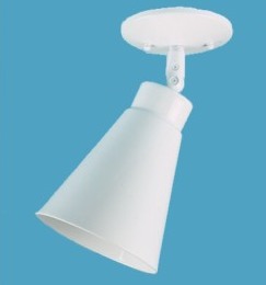 Tapered bullet shade on Steel Stem with swivel