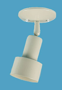 Step Bullet Shade with swivel Ceiling Mount