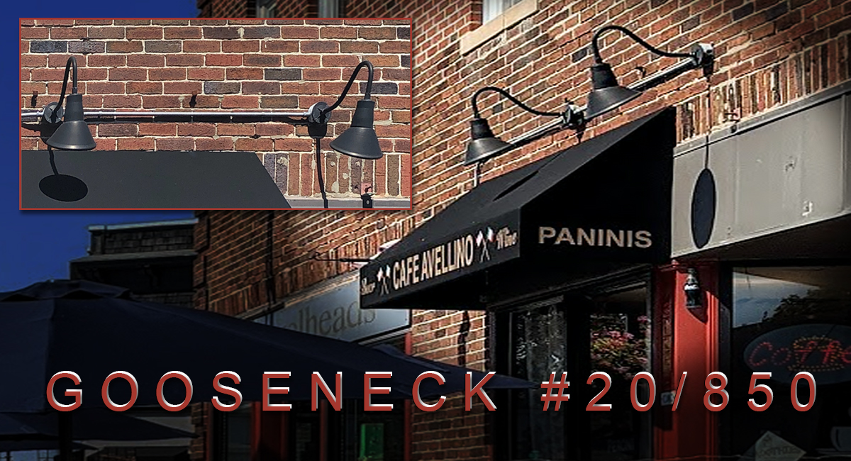 Whats the Buzz? Swampscott, MA? Gooseneck Light #20/850 is the Buzz.