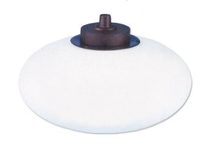 Ellipsoid Acrylic Globe