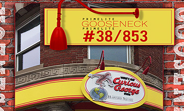 gooseenck #38/853 | Harvard Square, MA