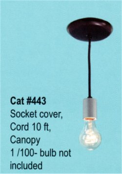Bare Bulb on cord
