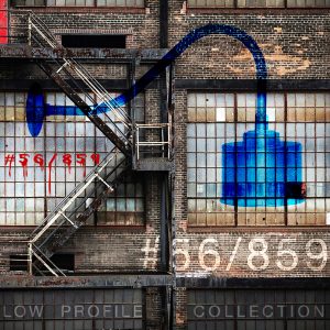 Low Profile Can Gooseneck #56/859