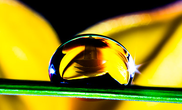 after the rain - garden light #9220 LED10