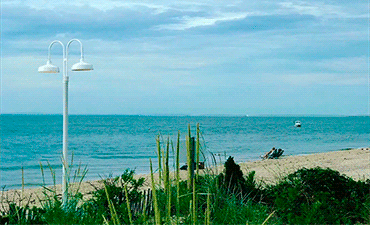 Buzzzzz! at the Beach - Post Light #23/16-1864