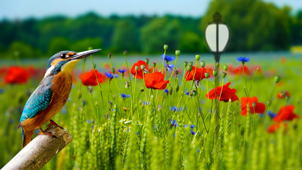 Post Light | Street Light #1230X