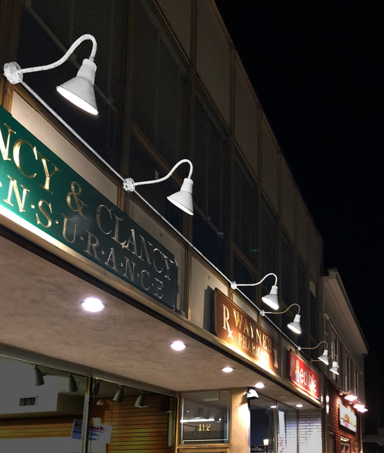 Whats the Buzz? Garden City, NY? Gooseneck Light #20/850 is the Buzz.