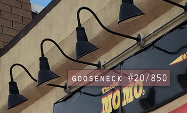 What's the Buzzzzz! in Montclair, NJ? Primelite Gooseneck #20/850 is the Buzzzzz!